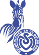 MSV Duisburg